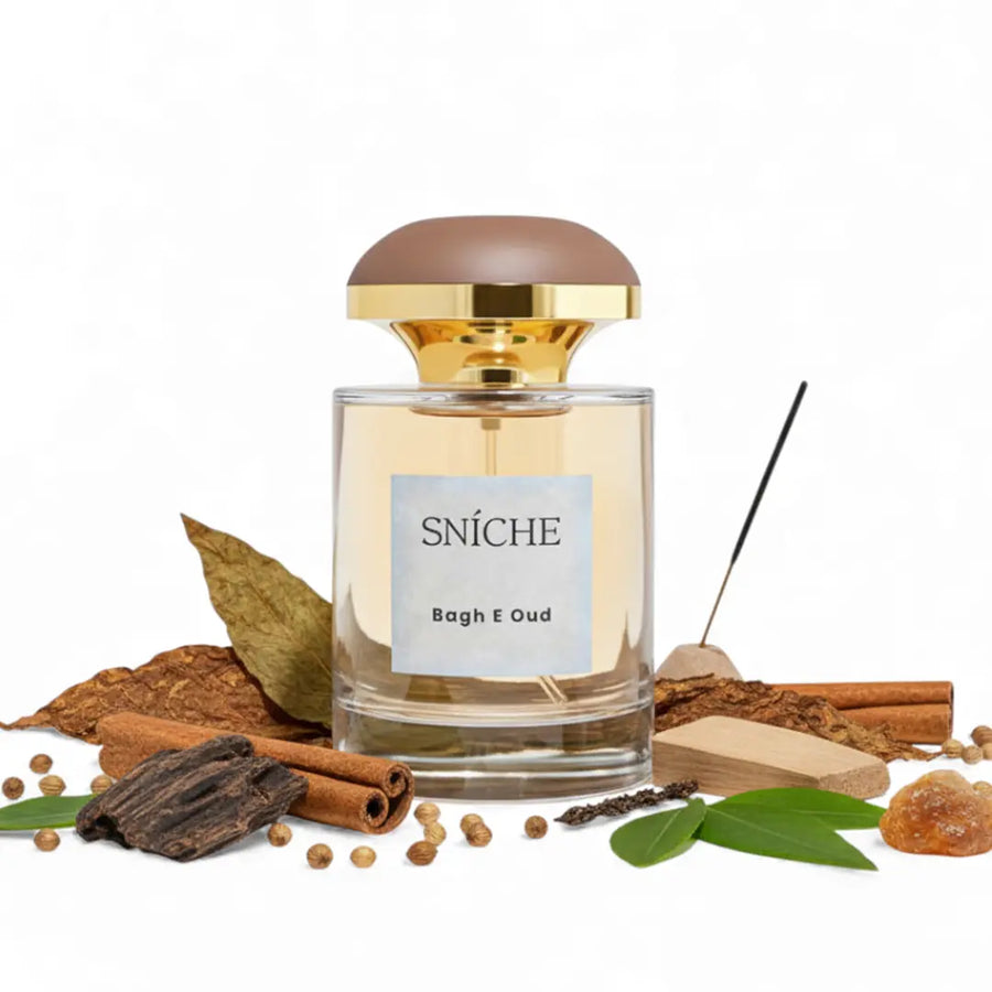 Bagh e Oud By Scents N Stories